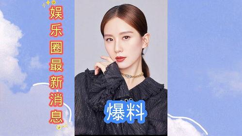 娱乐圈最新爆料离婚,明星夫妻宣布离婚，真相揭秘！